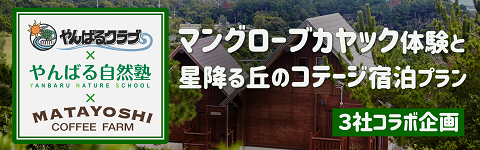 マングローブカヌー体験と星降る丘のコテージ宿泊プラン