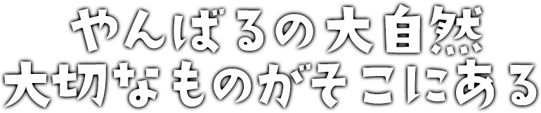 やんばるの大自然大切なものがそこにある